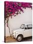 Fiat under Tree in Mojacar, Andalucia, Spain, Europe-John Alexander-Stretched Canvas