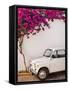 Fiat under Tree in Mojacar, Andalucia, Spain, Europe-John Alexander-Framed Stretched Canvas