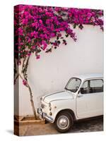 Fiat under Tree in Mojacar, Andalucia, Spain, Europe-John Alexander-Stretched Canvas