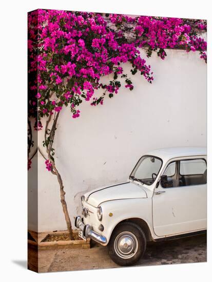 Fiat under Tree in Mojacar, Andalucia, Spain, Europe-John Alexander-Stretched Canvas