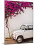 Fiat under Tree in Mojacar, Andalucia, Spain, Europe-John Alexander-Mounted Photographic Print