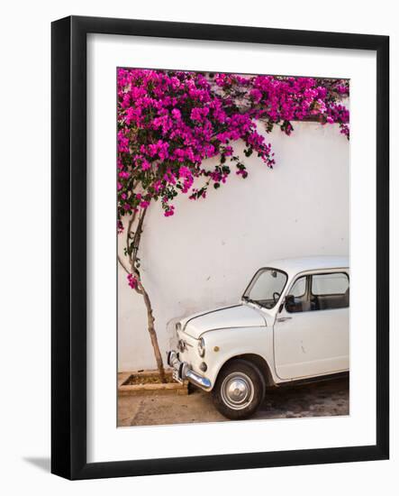 Fiat under Tree in Mojacar, Andalucia, Spain, Europe-John Alexander-Framed Photographic Print