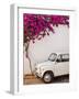 Fiat under Tree in Mojacar, Andalucia, Spain, Europe-John Alexander-Framed Photographic Print