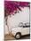 Fiat under Tree in Mojacar, Andalucia, Spain, Europe-John Alexander-Mounted Photographic Print
