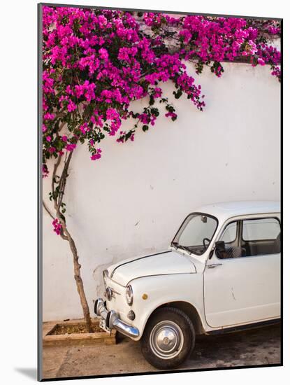 Fiat under Tree in Mojacar, Andalucia, Spain, Europe-John Alexander-Mounted Photographic Print