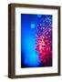 Fiber Optic Light Wand-Nosnibor137-Framed Photographic Print