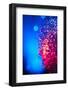 Fiber Optic Light Wand-Nosnibor137-Framed Photographic Print