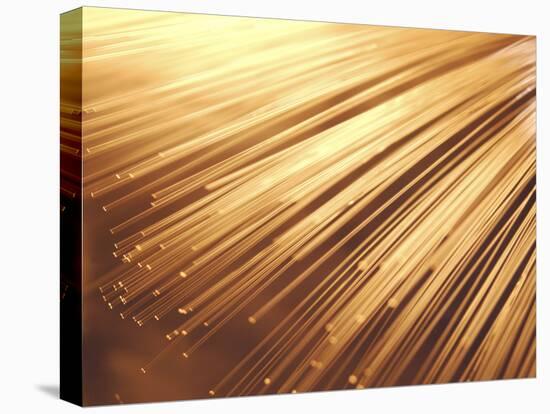 Fiber Optic Wires-null-Stretched Canvas