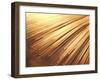 Fiber Optic Wires-null-Framed Photographic Print