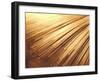 Fiber Optic Wires-null-Framed Photographic Print