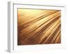 Fiber Optic Wires-null-Framed Photographic Print