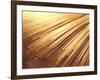 Fiber Optic Wires-null-Framed Photographic Print