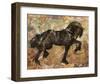 Fibonacci Horse-Marta Wiley-Framed Art Print