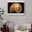 Fibonacci Pattern in a Shell-null-Art Print displayed on a wall