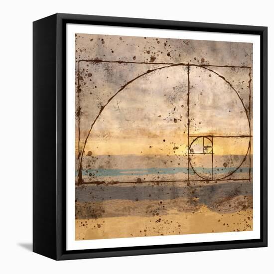 Fibonacci Shell-Marta Wiley-Framed Stretched Canvas