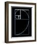 Fibonacci Spiral, Artwork-SEYMOUR-Framed Premium Photographic Print