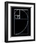 Fibonacci Spiral, Artwork-SEYMOUR-Framed Premium Photographic Print