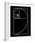 Fibonacci Spiral, Artwork-SEYMOUR-Framed Photographic Print