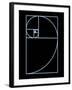 Fibonacci Spiral, Artwork-SEYMOUR-Framed Photographic Print