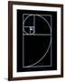 Fibonacci Spiral, Artwork-SEYMOUR-Framed Photographic Print