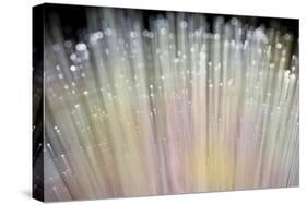 Fibre Optic Broadband Technology Concept Background-Veneratio-Stretched Canvas