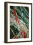 Fibres of Blue Asbestos-Dr. Jeremy Burgess-Framed Photographic Print