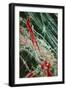 Fibres of Blue Asbestos-Dr. Jeremy Burgess-Framed Photographic Print