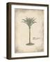 Fibres Palm-Hewitt-Framed Art Print