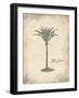 Fibres Palm-Hewitt-Framed Art Print