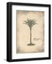 Fibres Palm-Annabel Hewitt-Framed Art Print