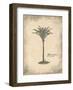 Fibres Palm-Annabel Hewitt-Framed Art Print