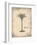 Fibres Palm-Annabel Hewitt-Framed Art Print