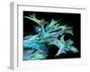 Fibroblast Cells, Fluorescent Micrograph-Dr. Torsten Wittmann-Framed Photographic Print