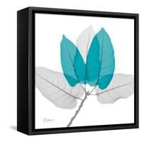 Ficus Burkey Teal-Albert Koetsier-Framed Stretched Canvas