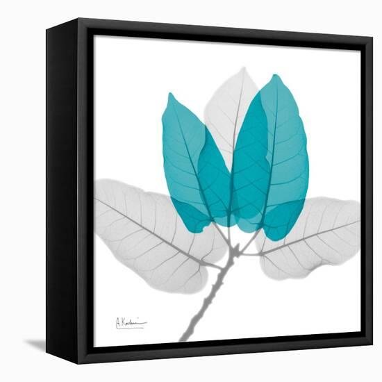 Ficus Burkey Teal-Albert Koetsier-Framed Stretched Canvas