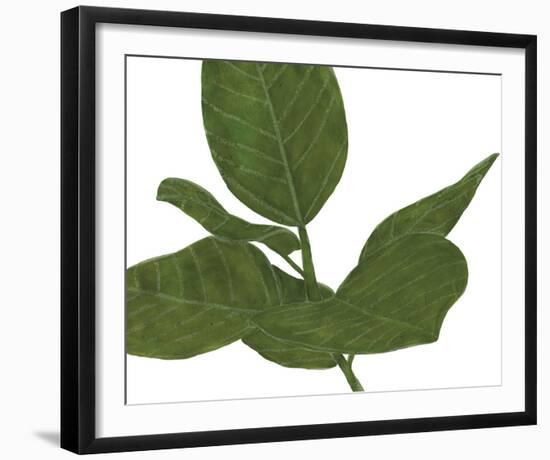 Ficus Dance - Glide-Lottie Fontaine-Framed Giclee Print