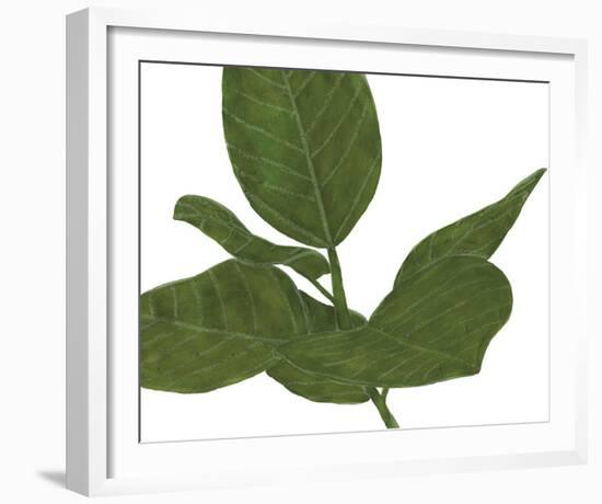 Ficus Dance - Glide-Lottie Fontaine-Framed Giclee Print