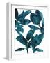 Ficus Elastica-Tania Bello-Framed Giclee Print