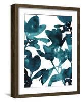 Ficus Lutea-Tania Bello-Framed Giclee Print