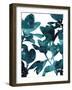 Ficus Lutea-Tania Bello-Framed Giclee Print