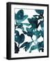 Ficus Lutea-Tania Bello-Framed Giclee Print