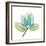 FicusBurkey-Albert Koetsier-Framed Premium Giclee Print