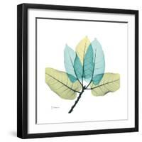 FicusBurkey-Albert Koetsier-Framed Premium Giclee Print