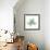 FicusBurkey-Albert Koetsier-Framed Premium Giclee Print displayed on a wall