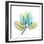 FicusBurkey-Albert Koetsier-Framed Premium Giclee Print