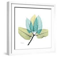 FicusBurkey-Albert Koetsier-Framed Premium Giclee Print