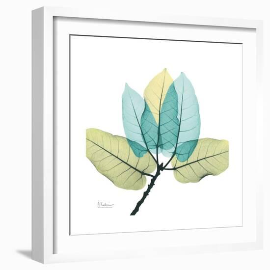 FicusBurkey-Albert Koetsier-Framed Premium Giclee Print