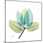 FicusBurkey-Albert Koetsier-Mounted Premium Giclee Print