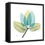 FicusBurkey-Albert Koetsier-Framed Stretched Canvas