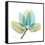 FicusBurkey-Albert Koetsier-Framed Stretched Canvas